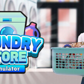 Laundry Store Simulator