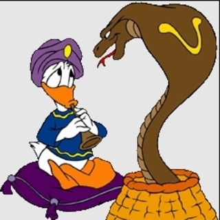 Snake Charming