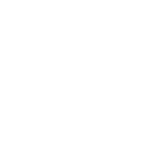 Lightspeed Japan Studio