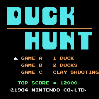 Duck Hunt